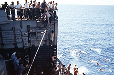 1973 Swim Call